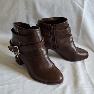 Thalia Sodi Brown Ankle Boots with Buckle Detail